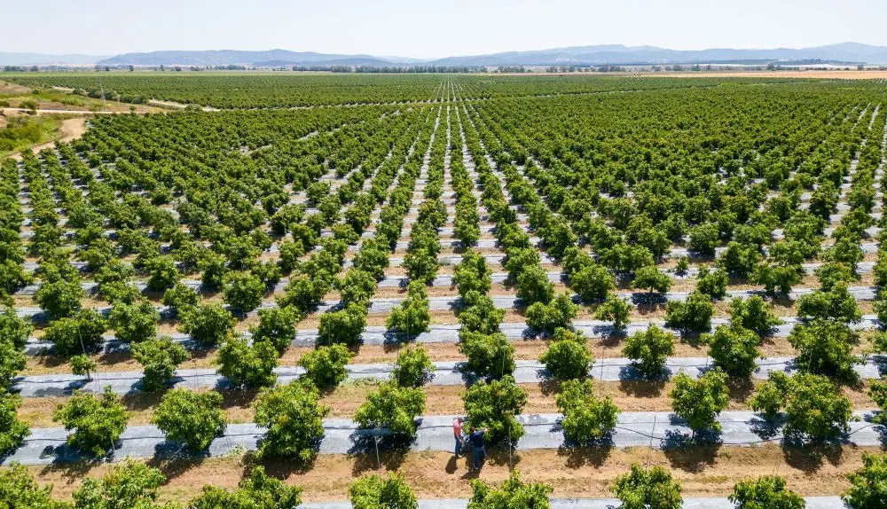 Agricultores y fincas