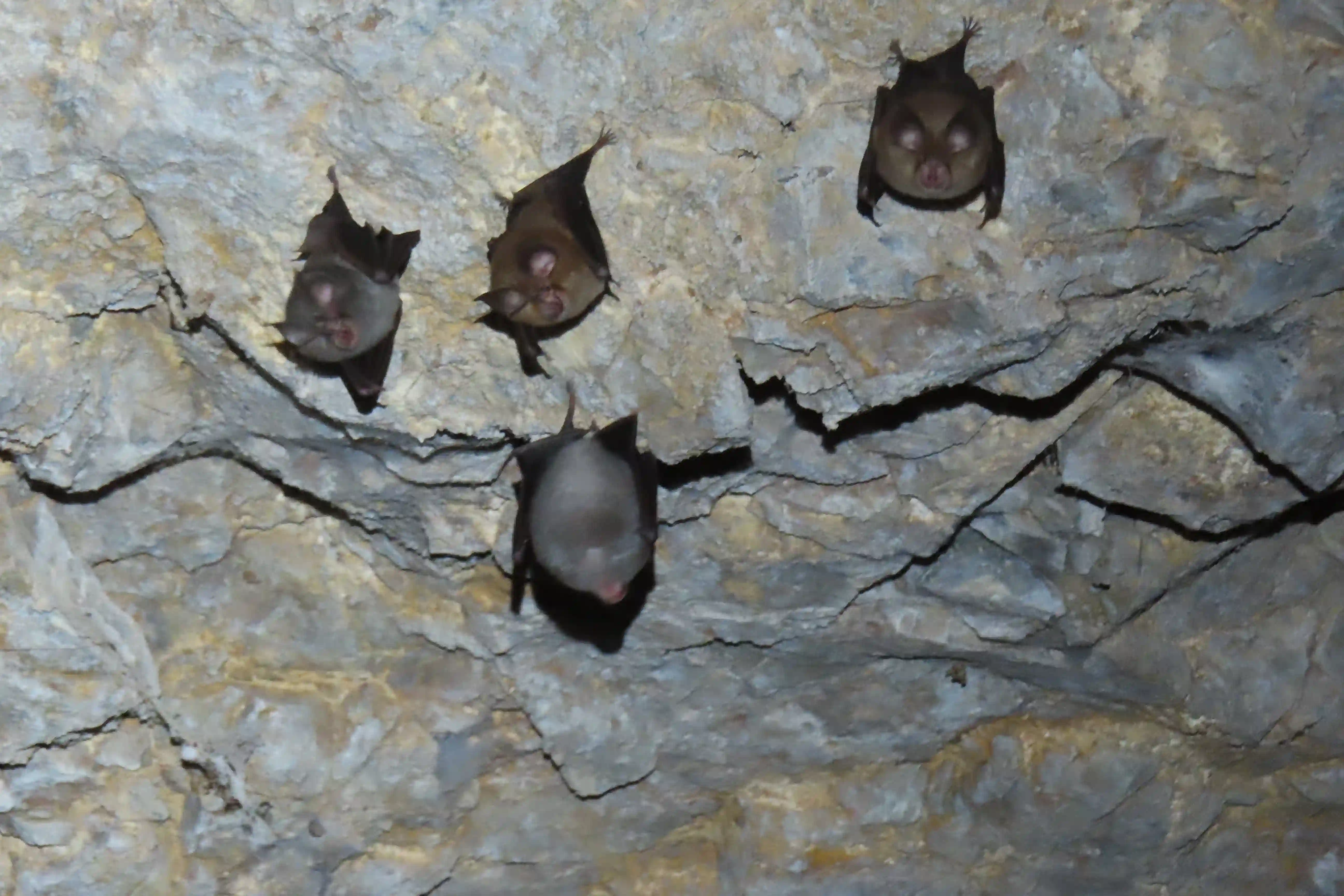Investigación científica