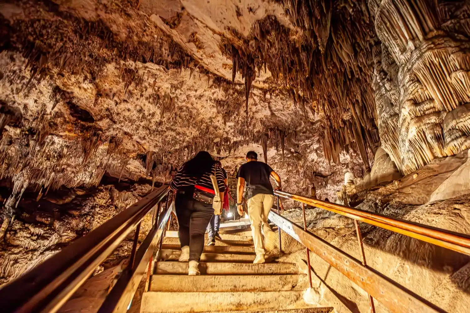 Cueva de Nerja - Museo Virtual de Murciélagos Málaga