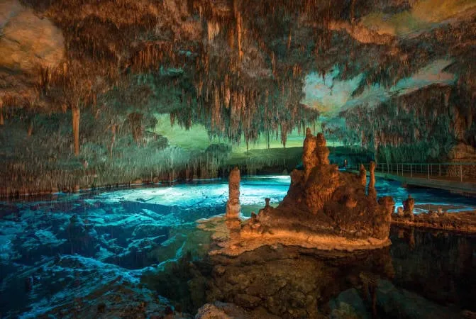 Educación ambiental VR para Espacios Naturales Abiertos - Murciélagos Málaga