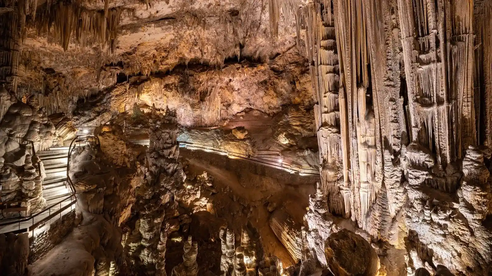 La Cueva de Nerja acerca a sus visitantes los beneficios de los murciélagos