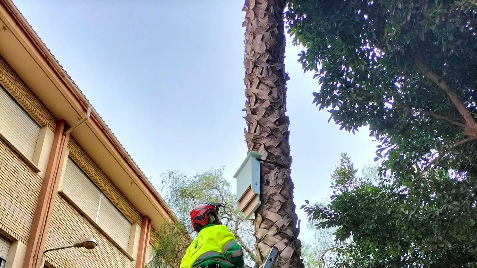 El colegio de Málaga que emplea los murciélagos para controlar las plagas