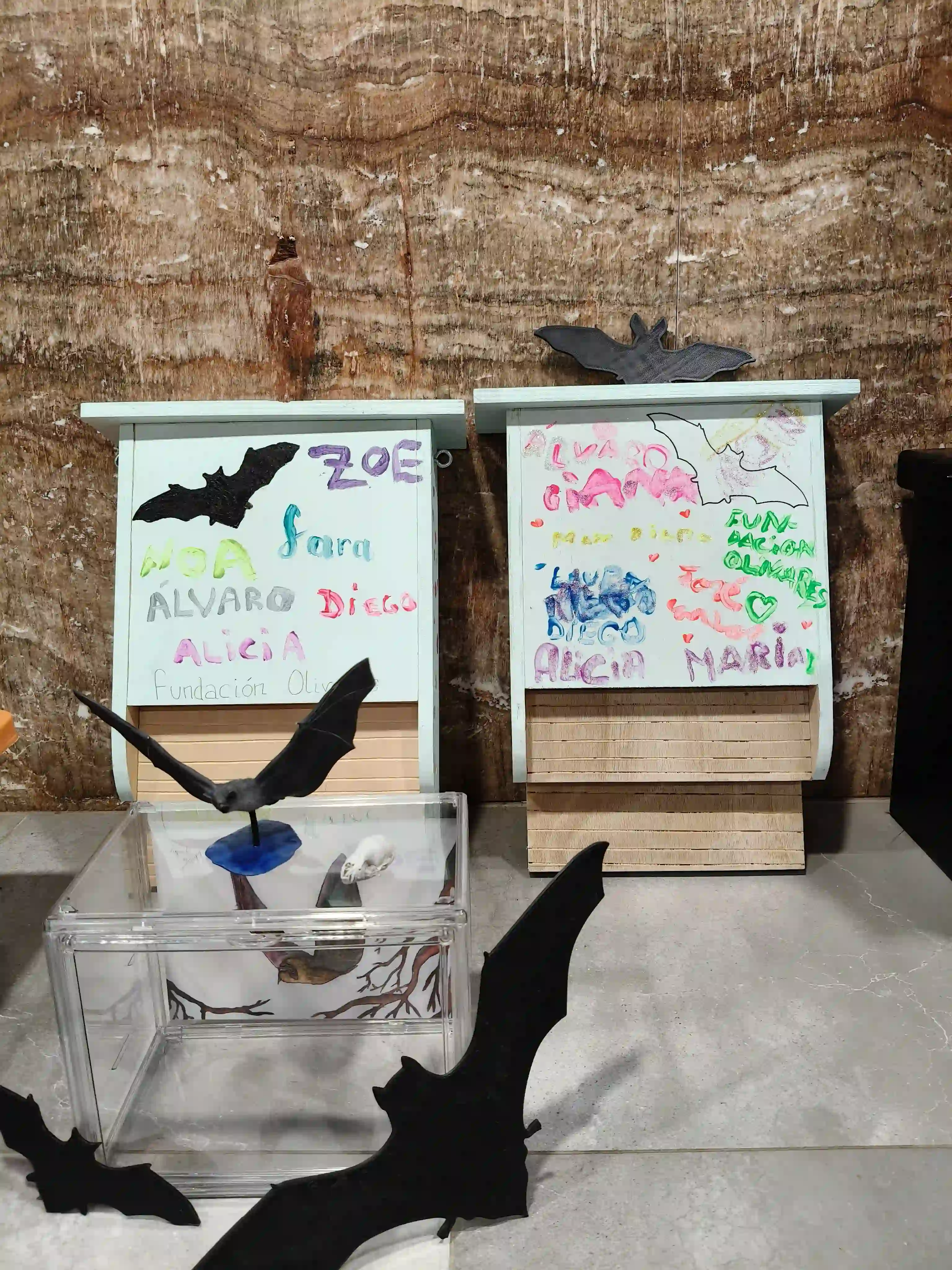 Educación ambiental VR para ONGs y Asociaciones - Murciélagos Málaga