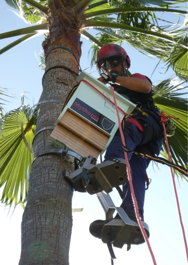 Instalación de refugio ecológico para murciélagos — trabajo de campo de MUMA